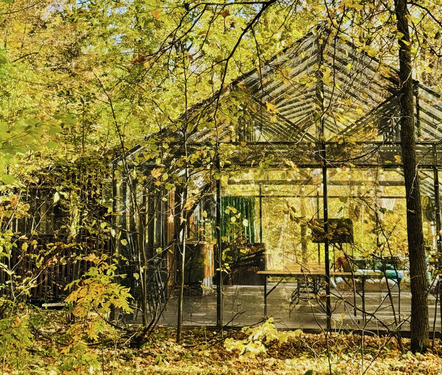 Угодья Чужака, кадр 2